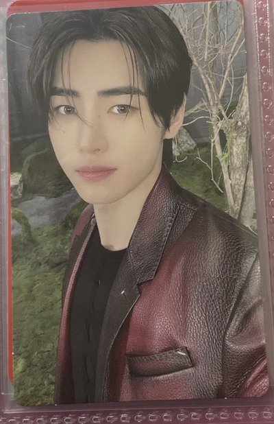 帥帥的大男孩訓