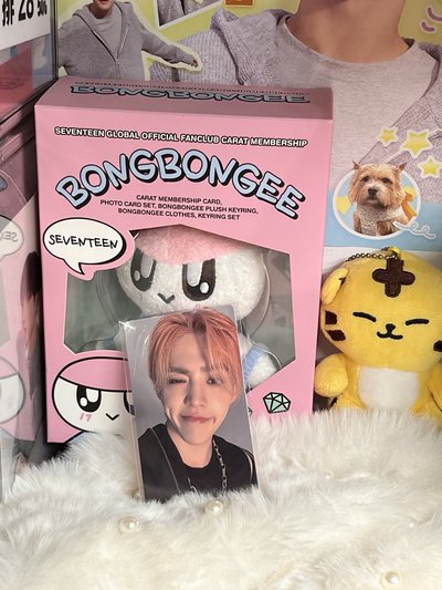 SEVENTEEN SCOUPS🍒小卡