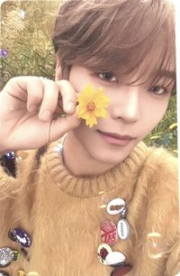 迷一MD STAR ROAD 隨機卡 