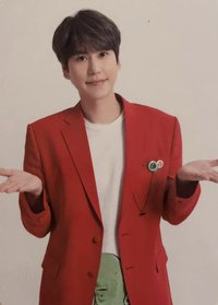 SS8 隨機卡 Japan 蛋糕卡