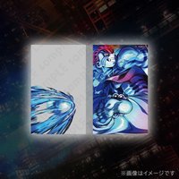 WEB抽賞 雙層 透明卡 D賞