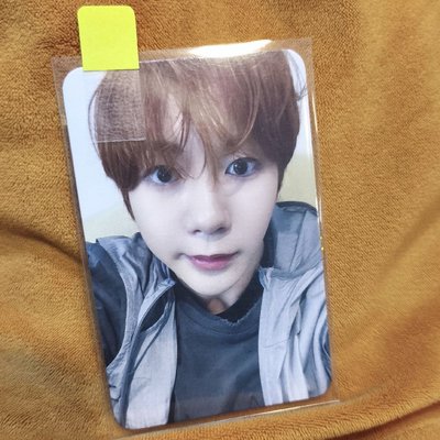 全新原皮Ryonryon+5張卡