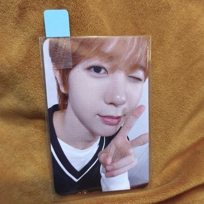 全新原皮Ryonryon+5張卡