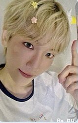 二巡 新加坡 入場卡 / 場限卡 