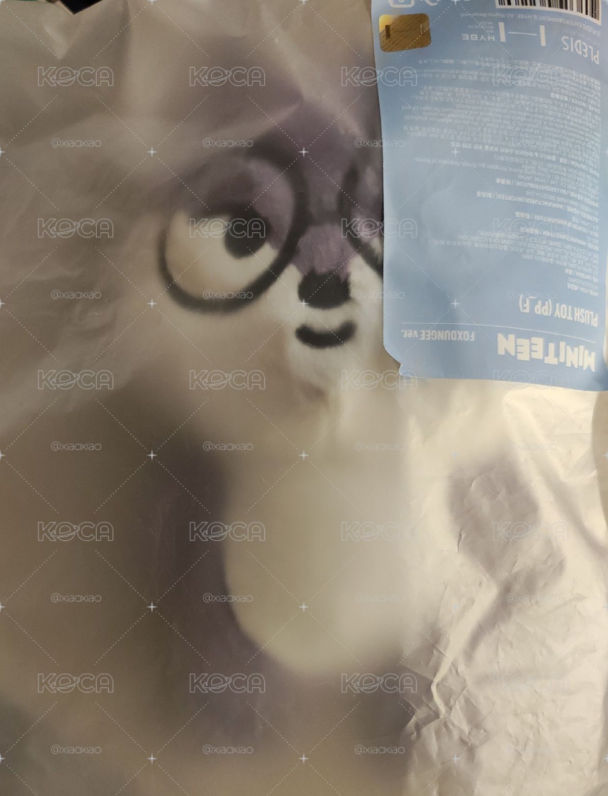 Foxdungee