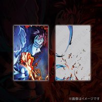 WEB抽賞 雙層 透明卡 D賞