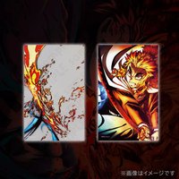WEB抽賞 雙層 透明卡 D賞