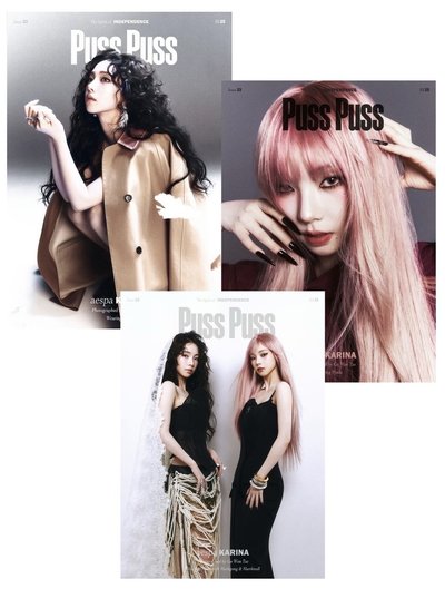 PUSS PUSS雜誌一套三本 CHIC雜誌一套兩本