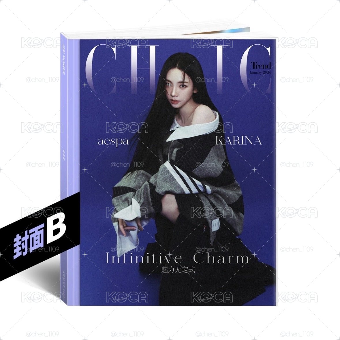 PUSS PUSS雜誌一套三本 CHIC雜誌一套兩本