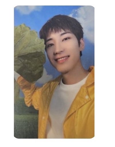 圓 MINI11 wvs 特典卡+克拉盤卡一鍵畢業