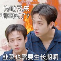 助力薄荷退卡坑吧