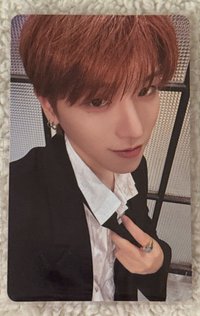 19.99 wvs 預售特典卡