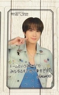 二巡 THE LINK 隨機卡 日巡透卡