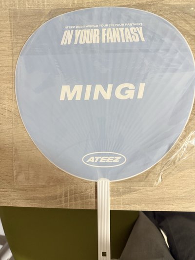 25 IYF 日巡大扇 Mingi