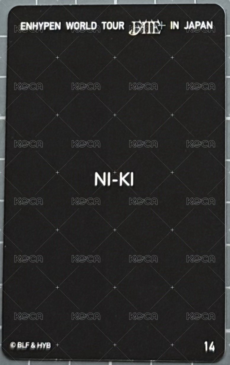 FATE世巡 日巡 隨機卡  背面