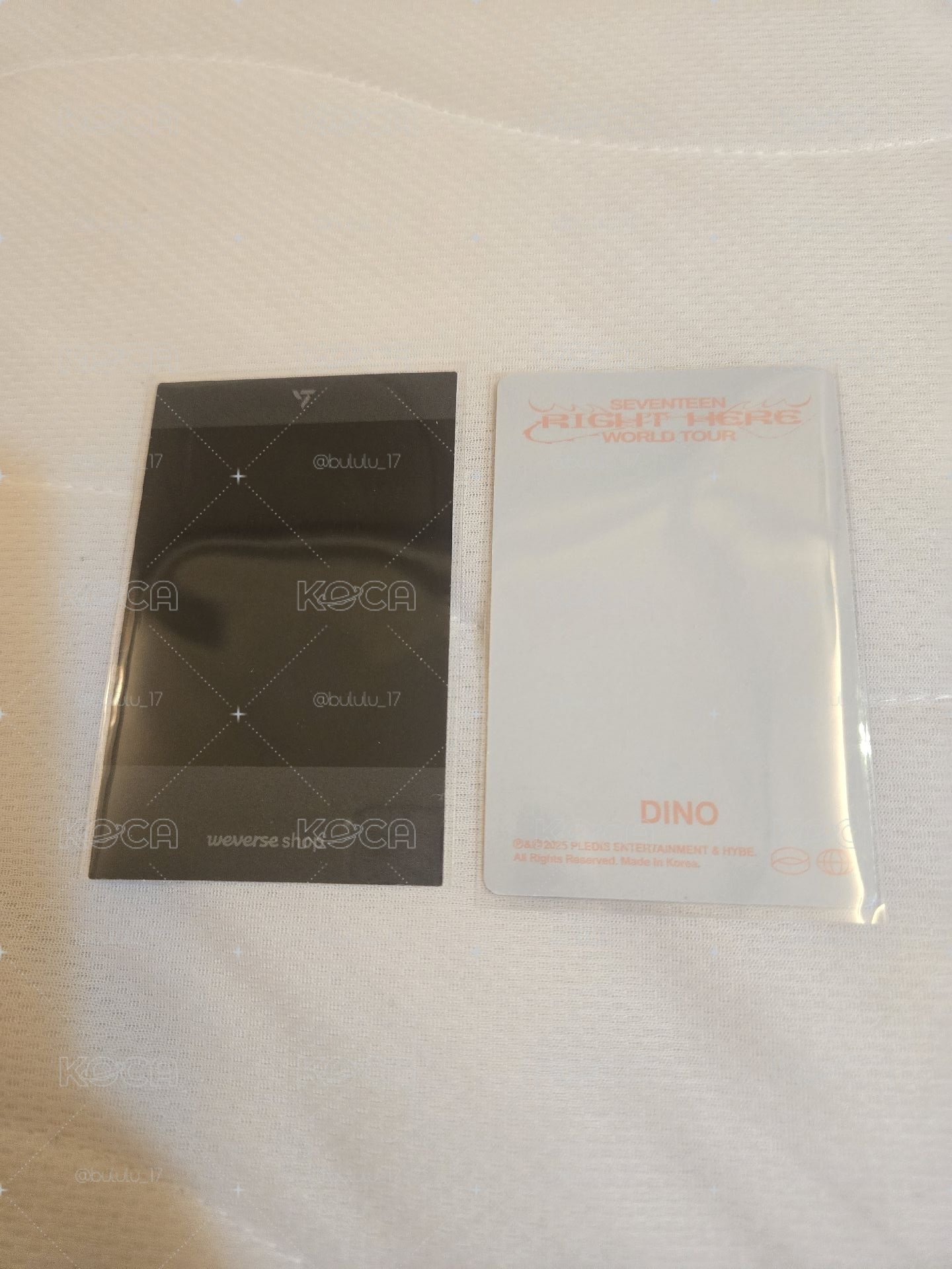 Dino Right here DVD小卡