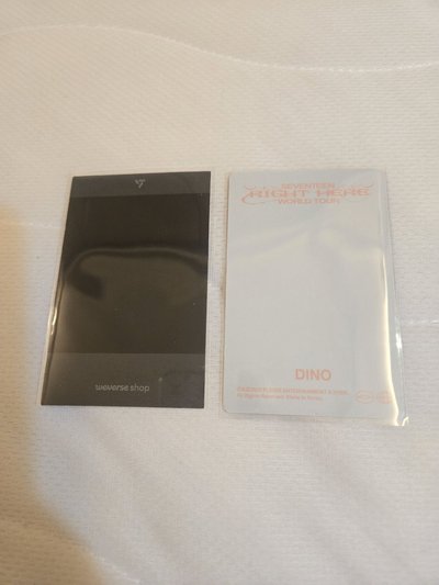 Dino Right here DVD小卡