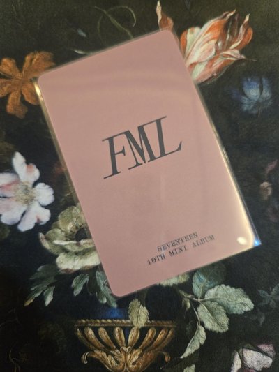 淨漢FML WVS JP 特典卡 星星閃