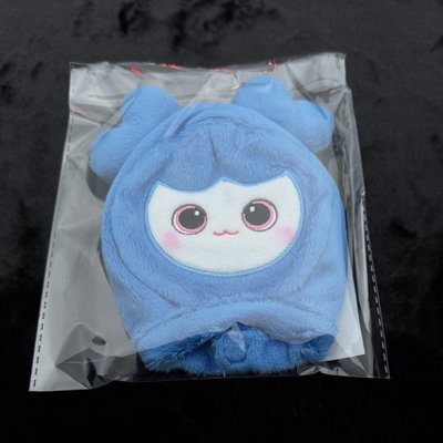 TWICE 十週年FM手燈套 BABY TZUZELY子瑜