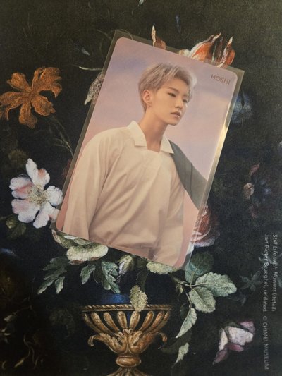 Hoshi Falling flower HMV特典