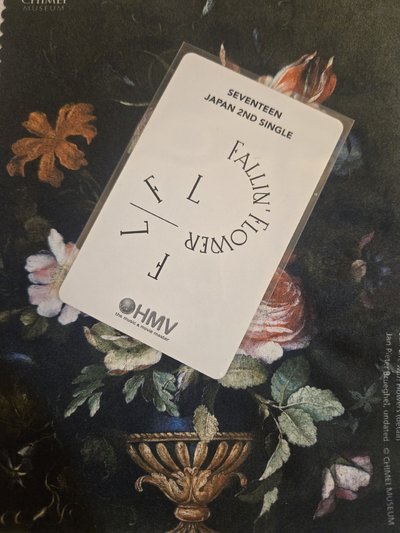 Hoshi Falling flower HMV特典