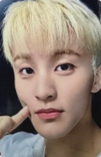 BTFM hl 特典卡 