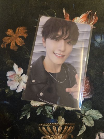 Dino 迷十二大阪場限