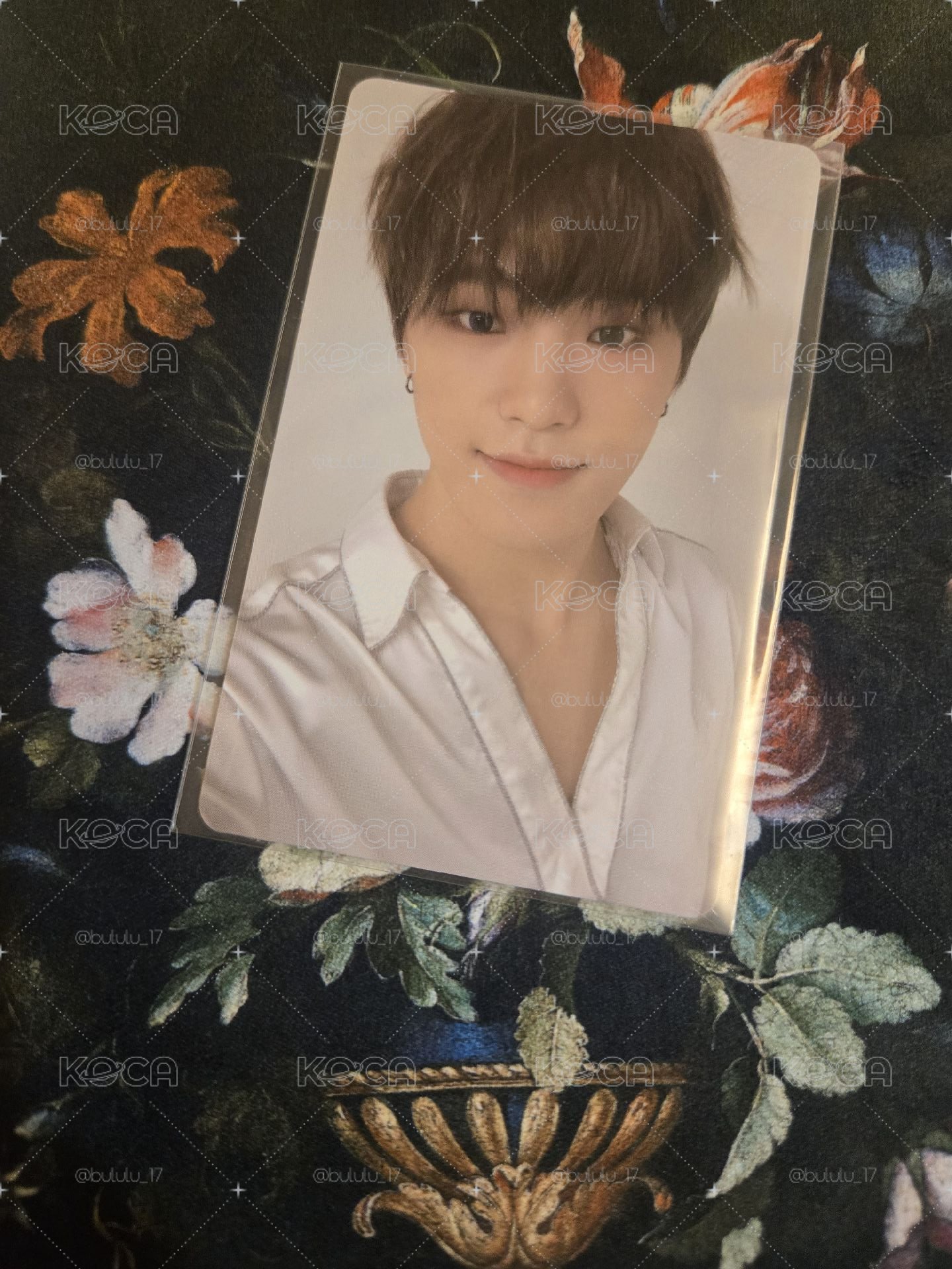 Dino Ode to you in seoul DVD小卡