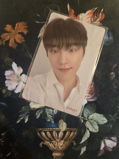 Dino 24h HMV 特典卡