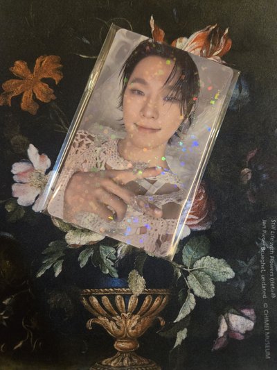 Dino 正規五 WVSJP特典閃卡