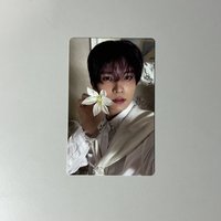 mini5專卡（背面有損）