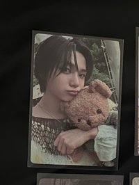 小貓小熊萌萌萌