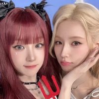 追星小狗(歡迎使用信用卡)