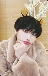 Fever Epilogue ms 抽選卡 Christmas Ver.