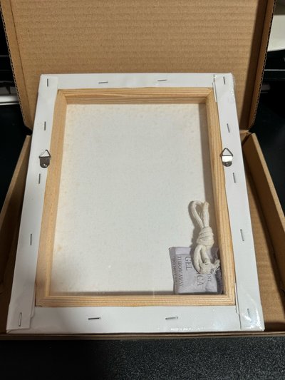 TWICE BDZ周邊-MOMO掛畫