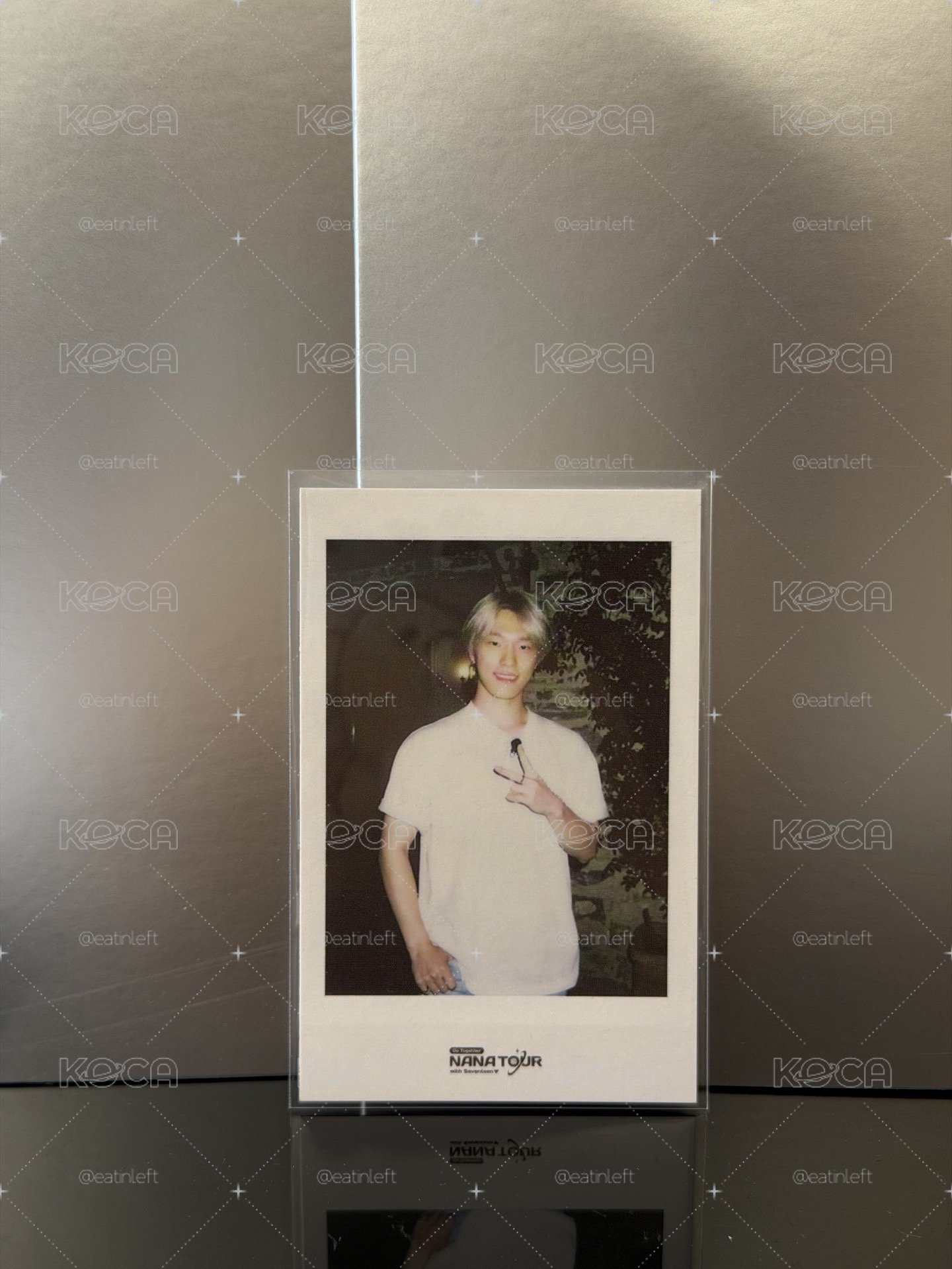 NANA TOUR Dino