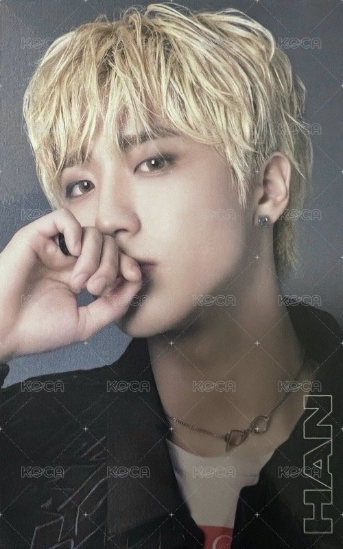 TOP 專輯卡 完全生產限定盤 背面