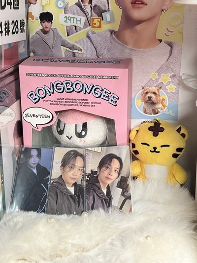 SEVENTEEN JEONGHAN🐰小卡