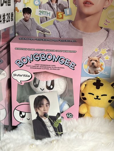 SEVENTEEN JEONGHAN🐰小卡