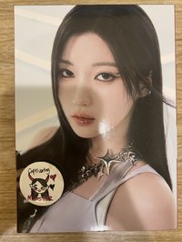 紗已拆單封（徽章有髒污如圖）