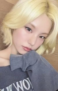 TNVS ms 13.0 線上 簽售卡 