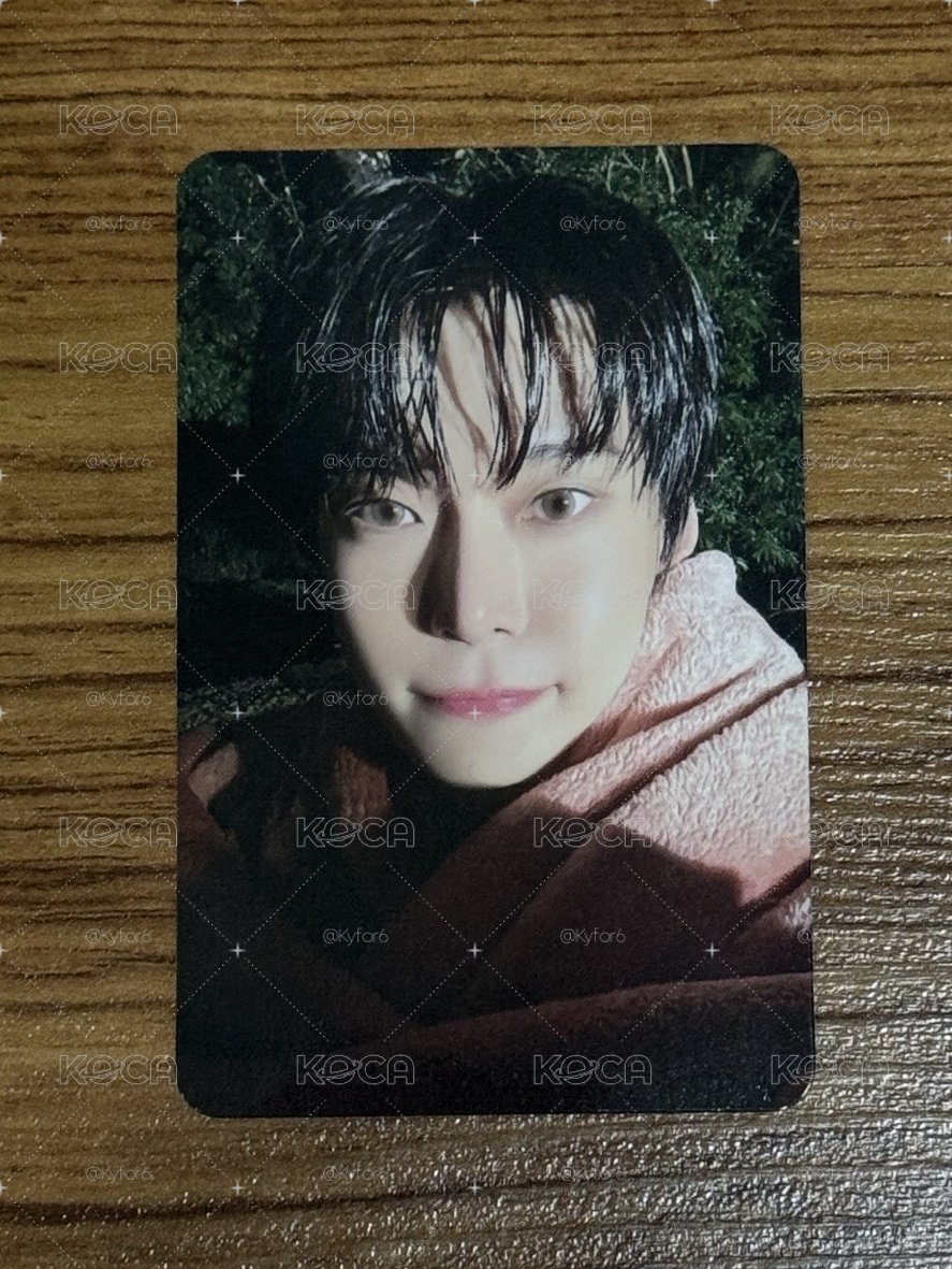 DOYOUNG 道英 金道英 隨機卡