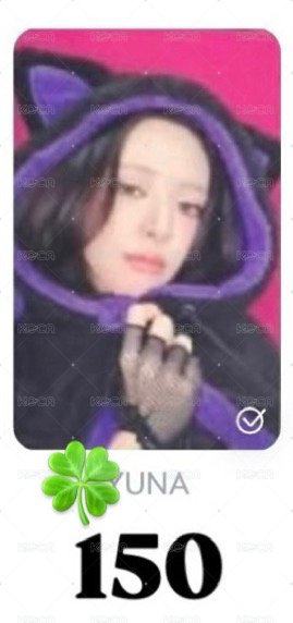 🍀黑貓娜