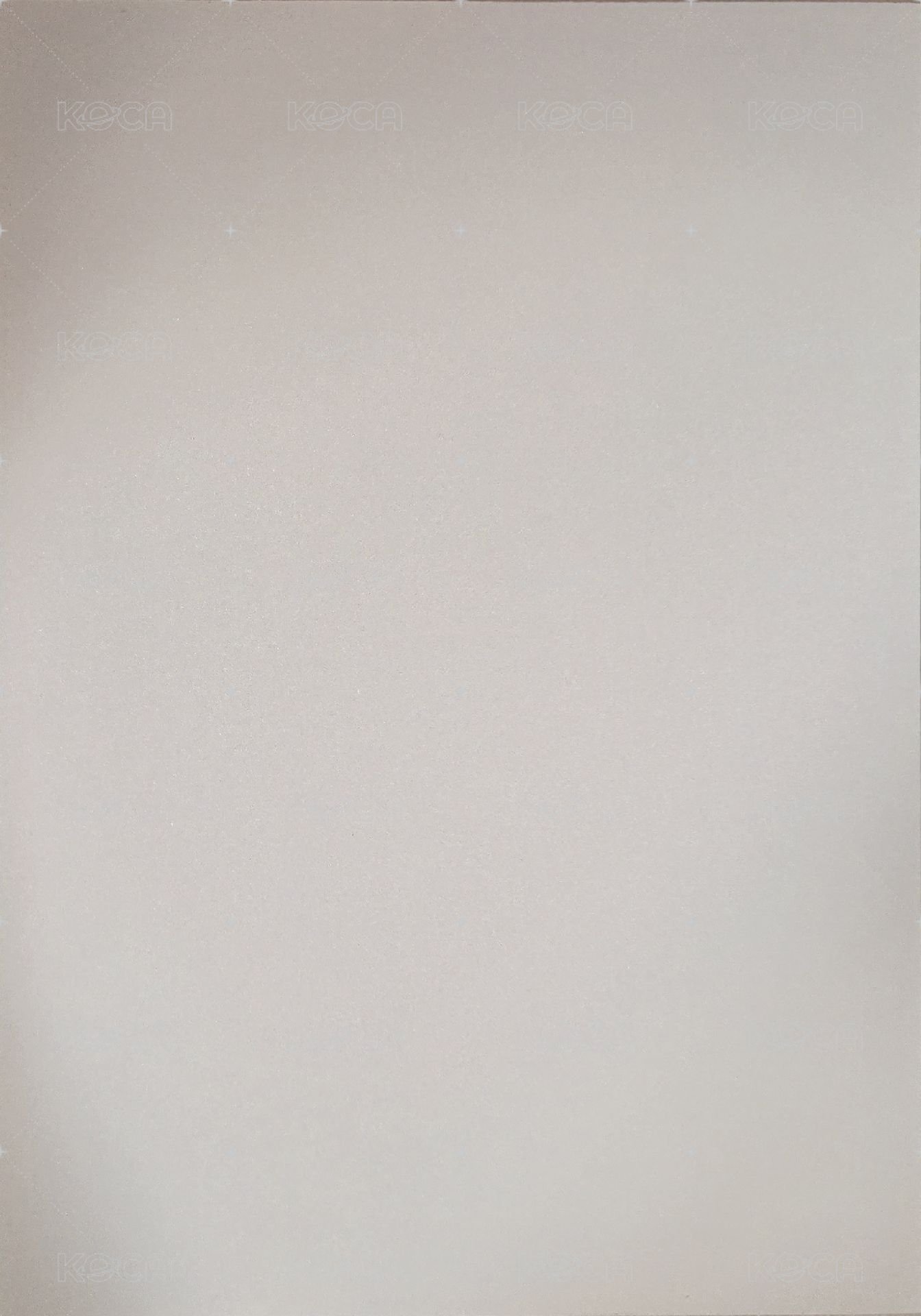 2026SG年曆 海報  背面