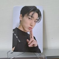 傘泥