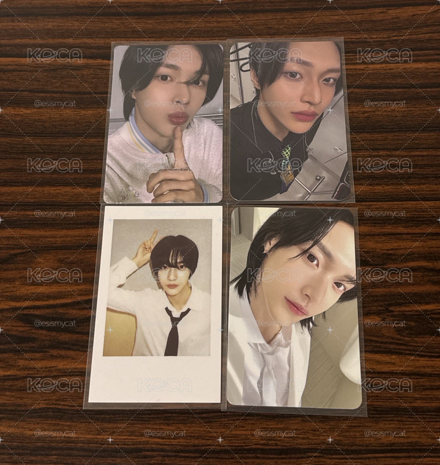 元彬小卡們🐰🐈‍⬛🐤