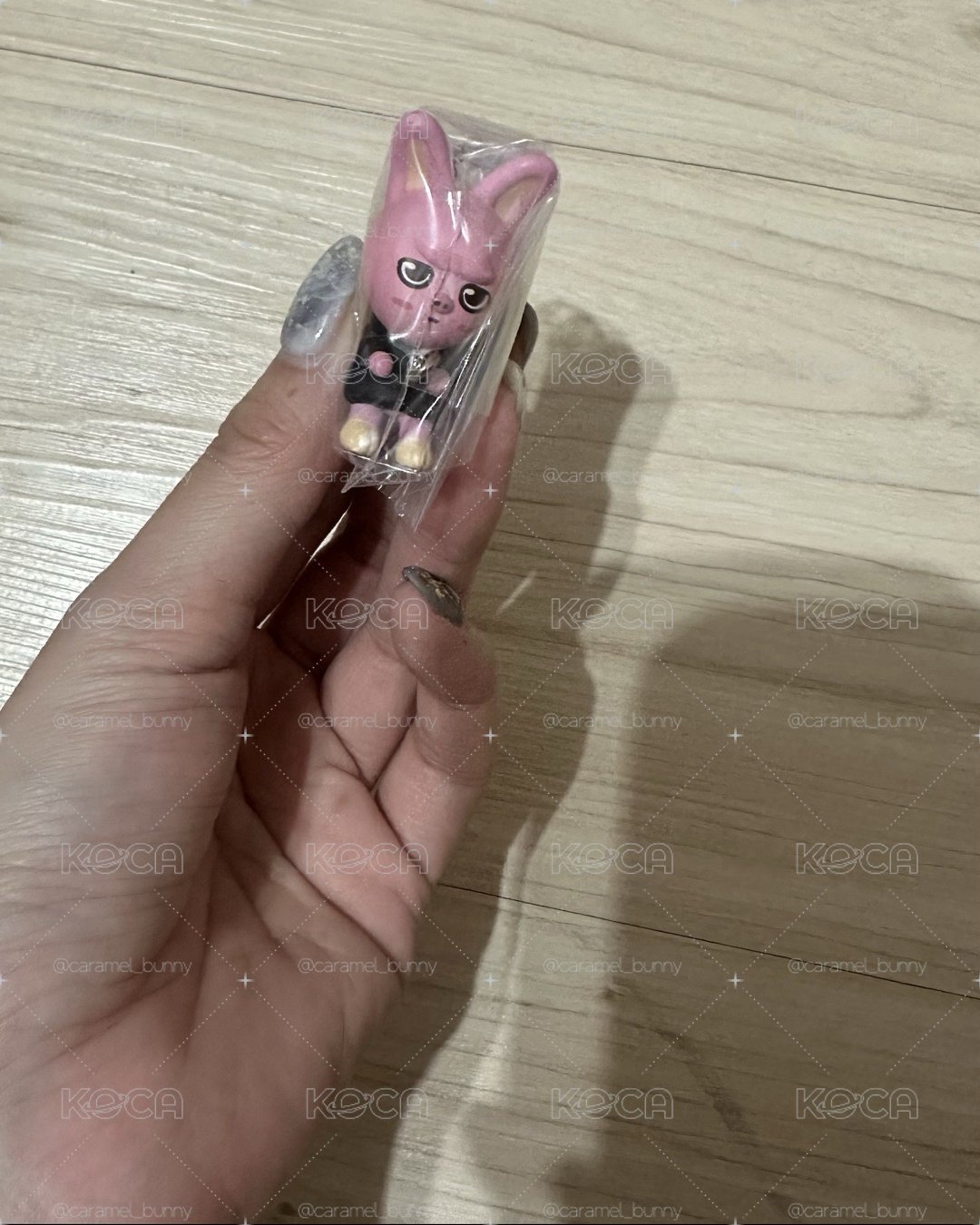 🐷🐰扭蛋