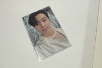 淚鑽水獺🦦李燦  dino