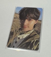 拿草水獺🦦李燦 Dino 