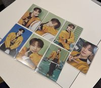 愛運動的冠軍水獺🦦李燦 Dino